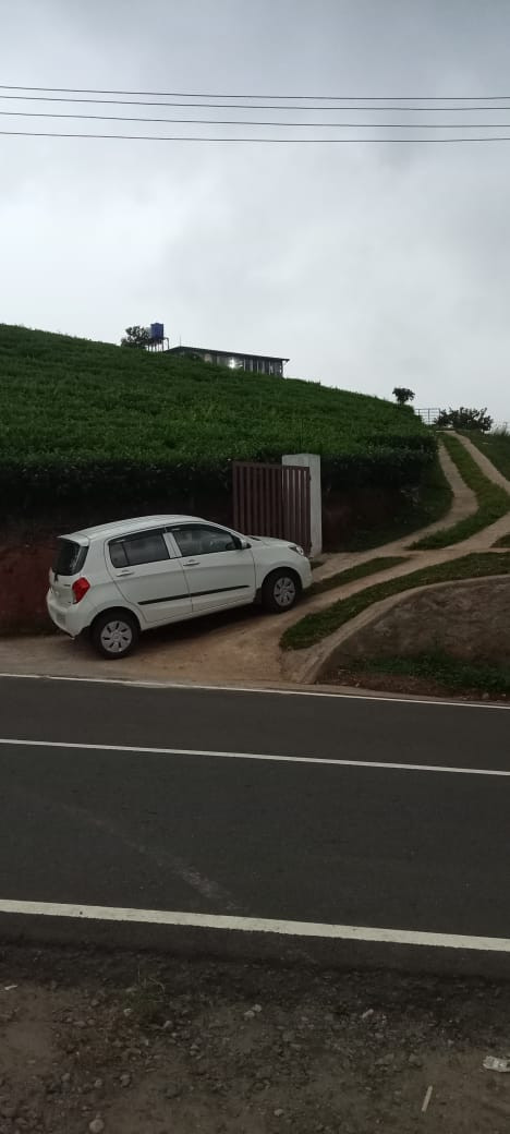 SUN N LAKE VIEW RESORT