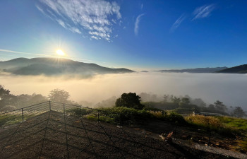 SUN N LAKE VIEW RESORT