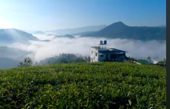 SUN N LAKE VIEW RESORT