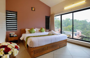 Safari Hills Vythiri