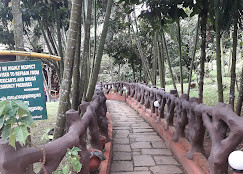 Crescent Family Resort
