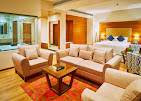 Vibe Resort Munnar / Five Star Luxury Resorts in Munnar