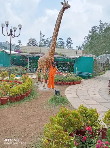 Elysium Gardens Hill Resorts