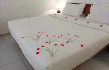 Abad Metro, Rajaji Road, Shenoy Kochi