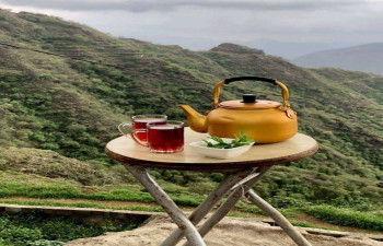Grand Valley Resort Munnar