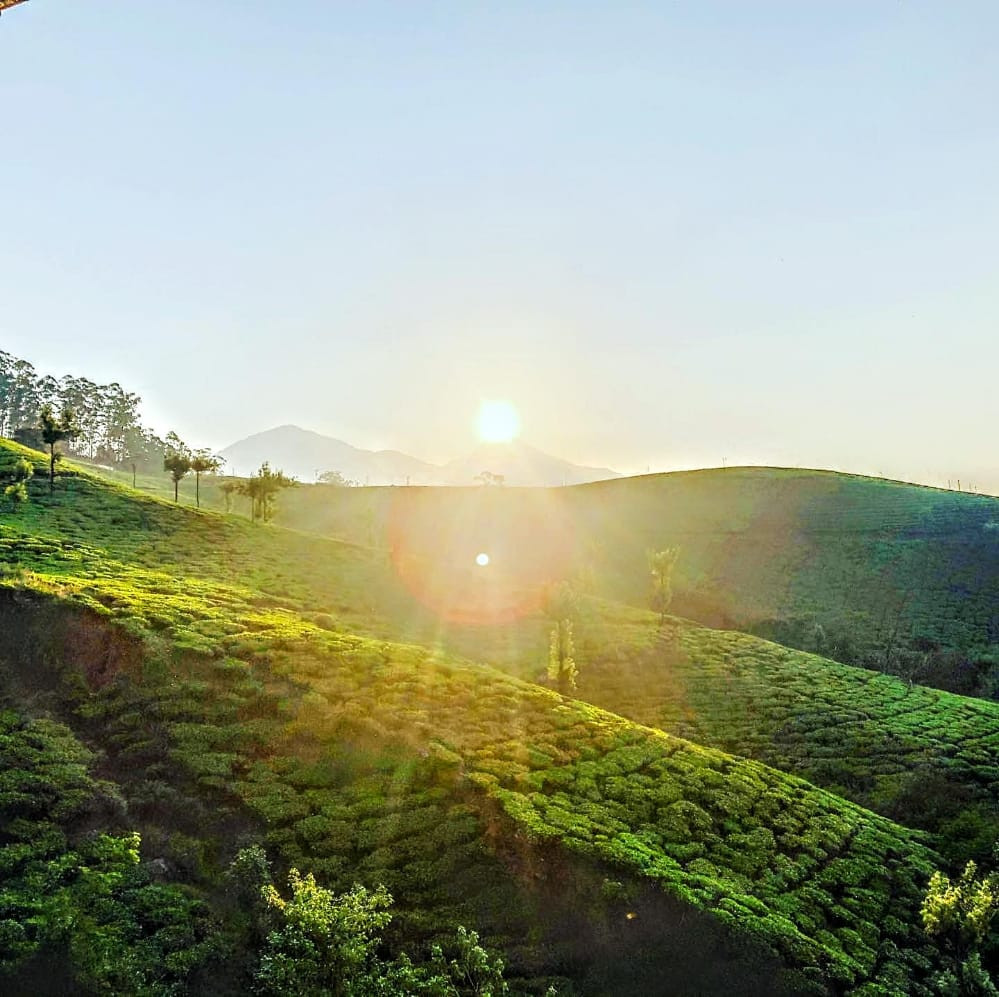 Grand Valley Resort Munnar