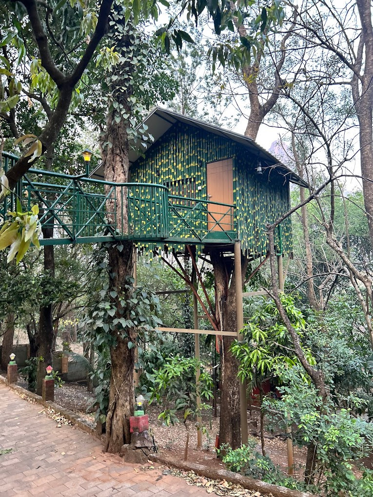 Treetop Resort,