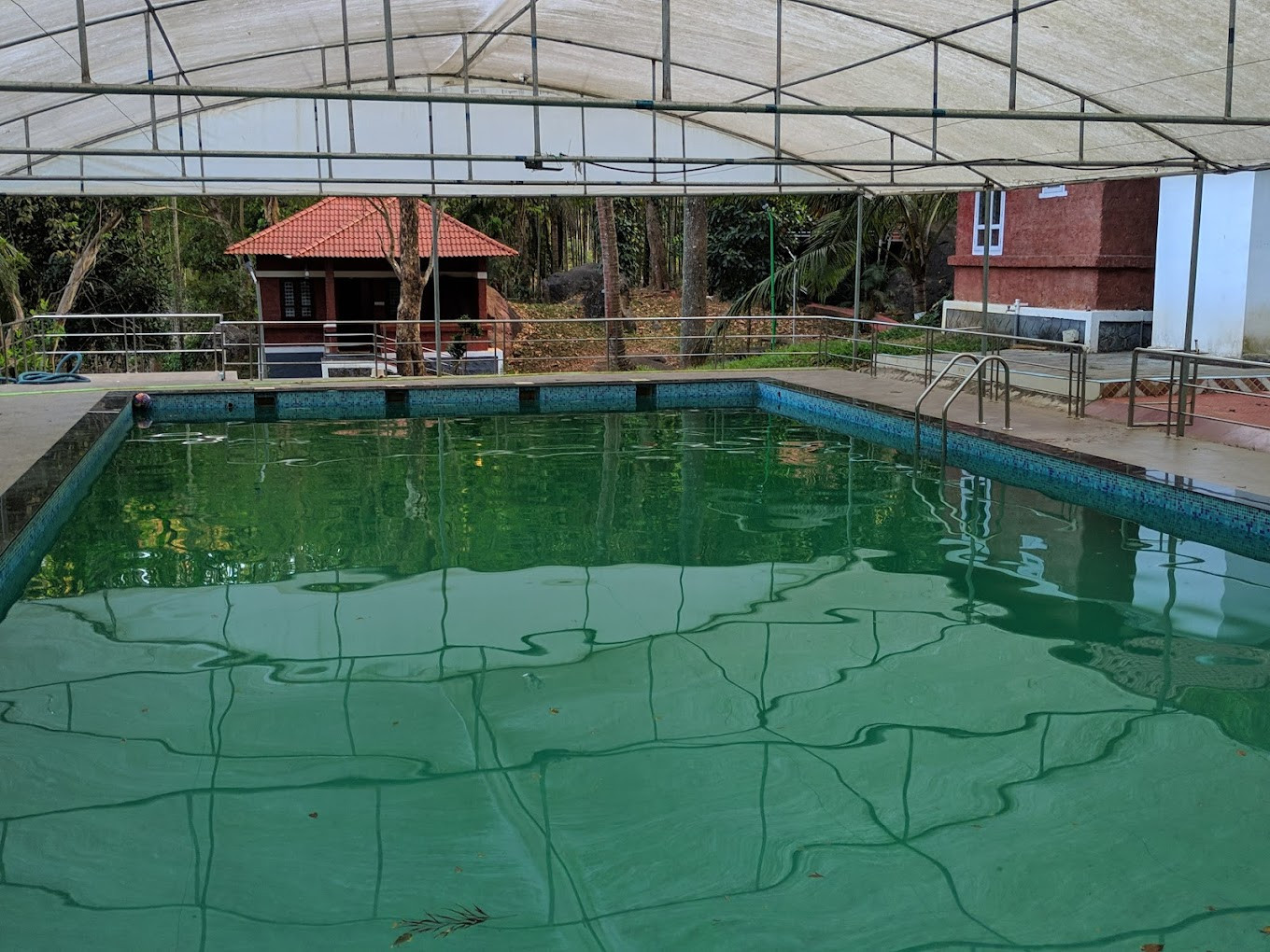 Treetop Resort,
