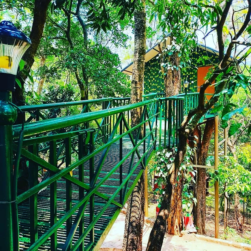 Treetop Resort,