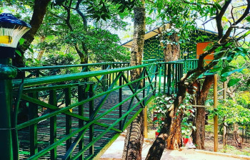 Treetop Resort,