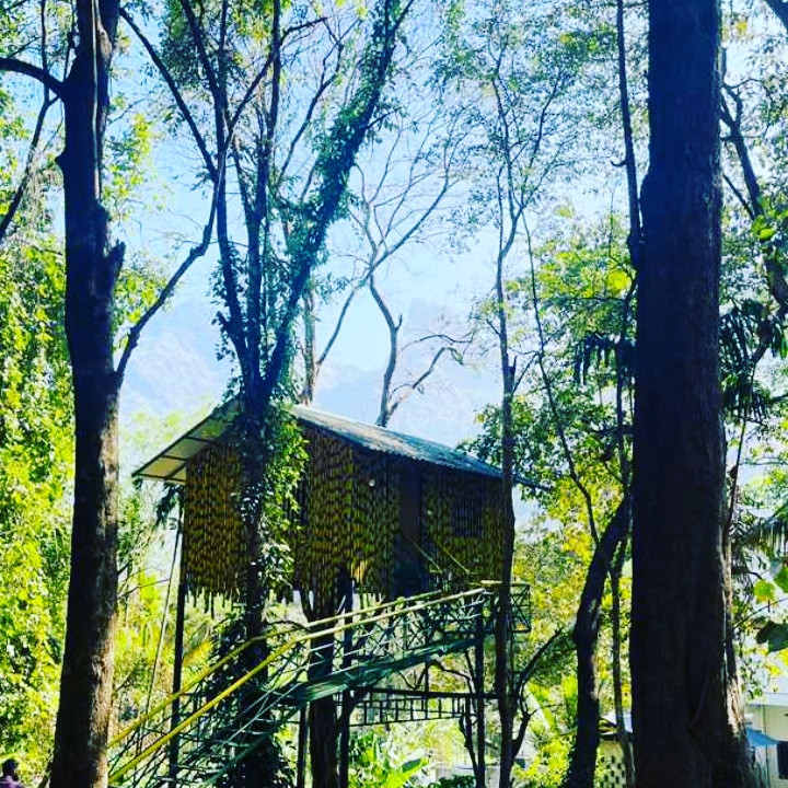 Treetop Resort,