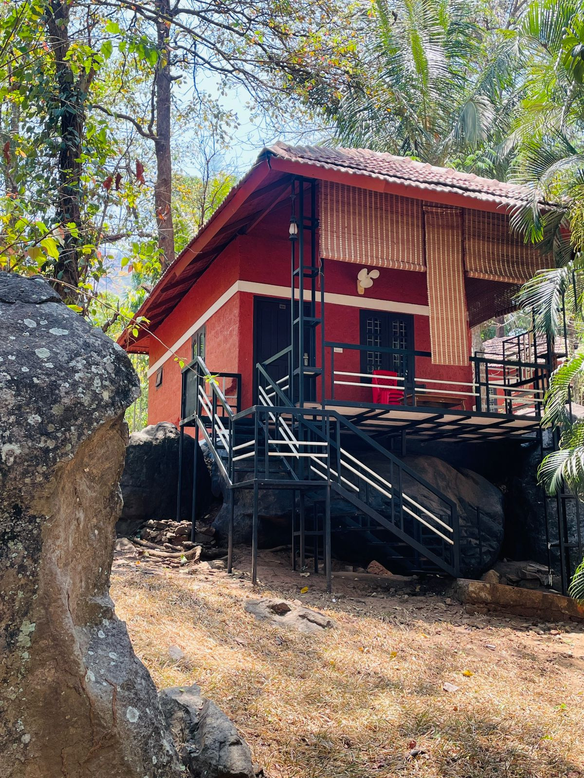 Treetop Resort,