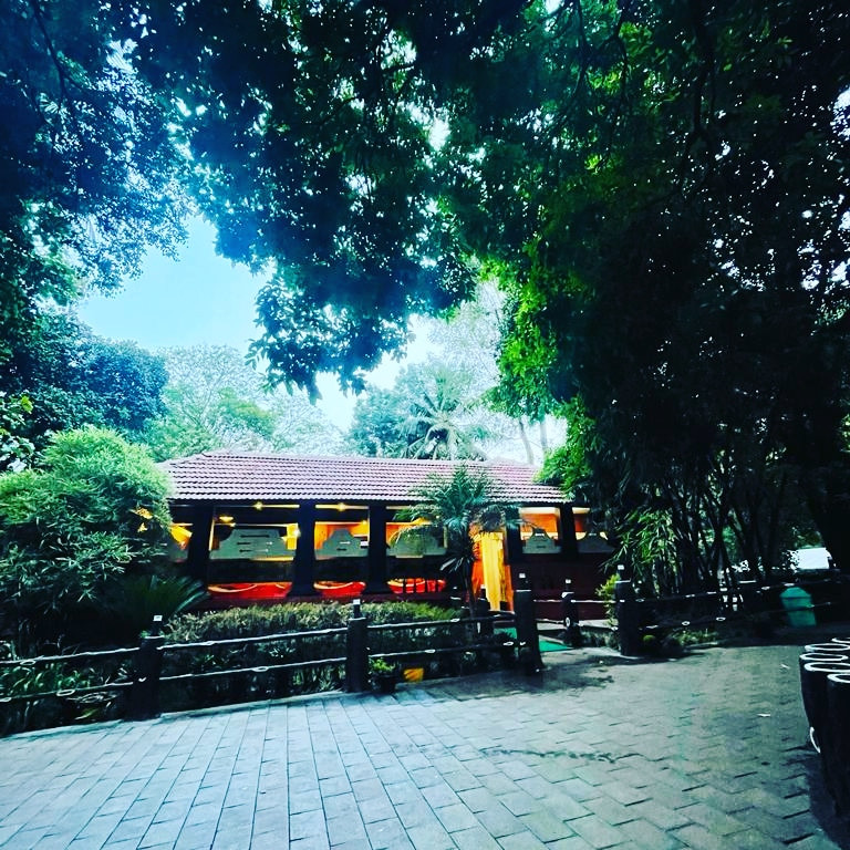 Treetop Resort,