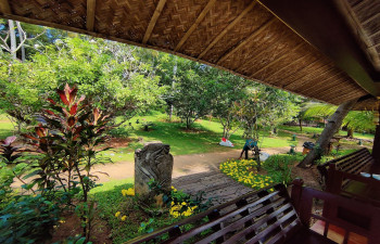 Fragrant Nature Paravur