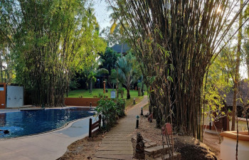 Fragrant Nature Paravur