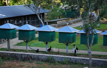 Greenland Farmhouses Resort