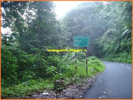 🌲🚐 കാടു മുതൽ കടൽ വരെ