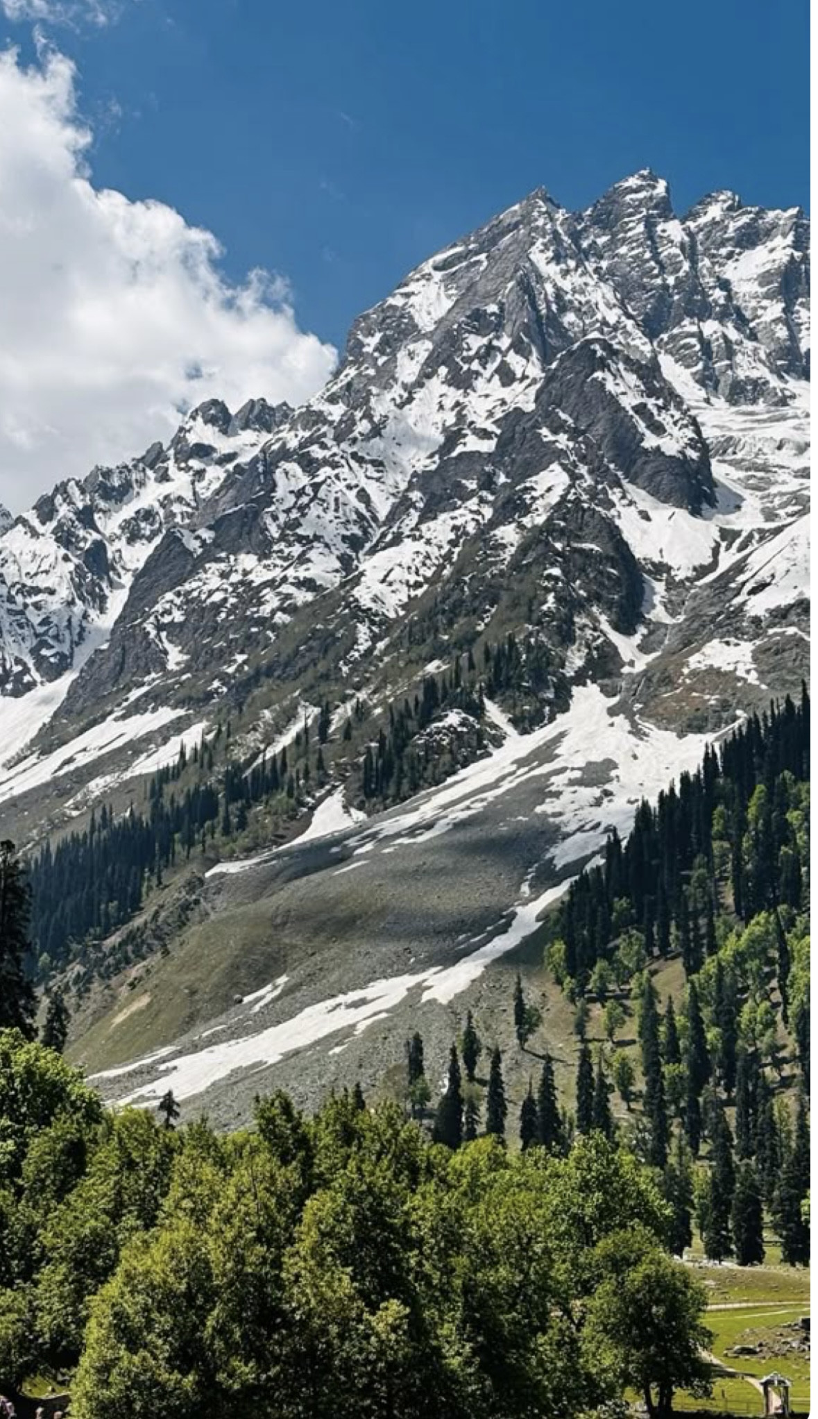 KASHMIR PACKAGES 6DAYS/5NIGHT
