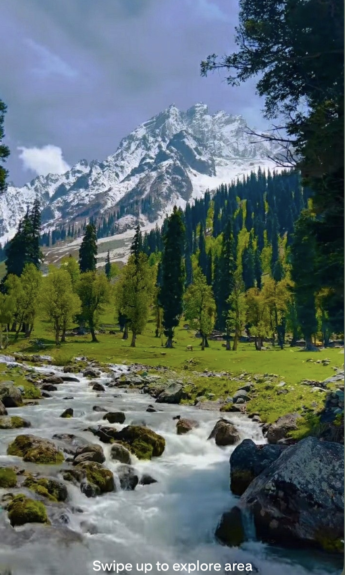 KASHMIR PACKAGES 6DAYS/5NIGHT