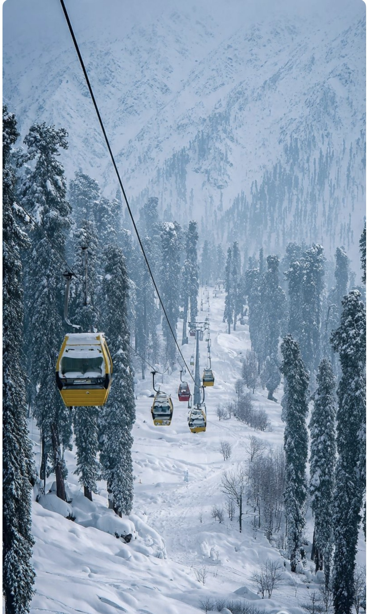KASHMIR PACKAGES 6DAYS/5NIGHT