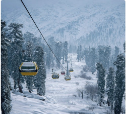 KASHMIR PACKAGES 6DAYS/5NIGHT