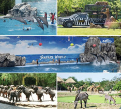 THAILAND  PACKAGE 4DAYS/3 NIGHT