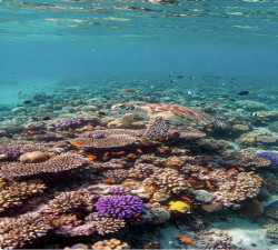 THAILAND  PACKAGE 4DAYS/3 NIGHT