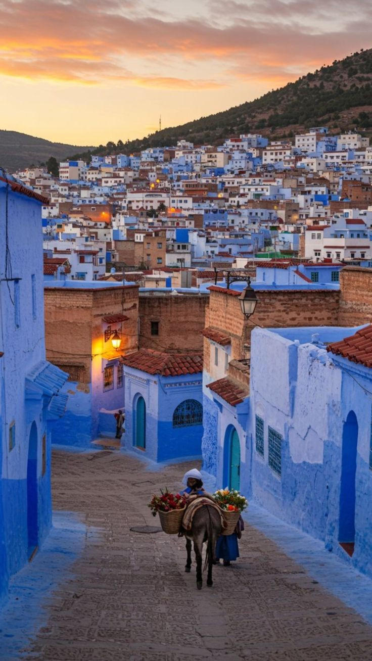 RAJASTAN 7NIGHT/8DAY