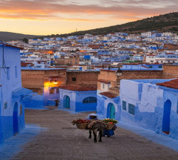 RAJASTAN 7NIGHT/8DAY