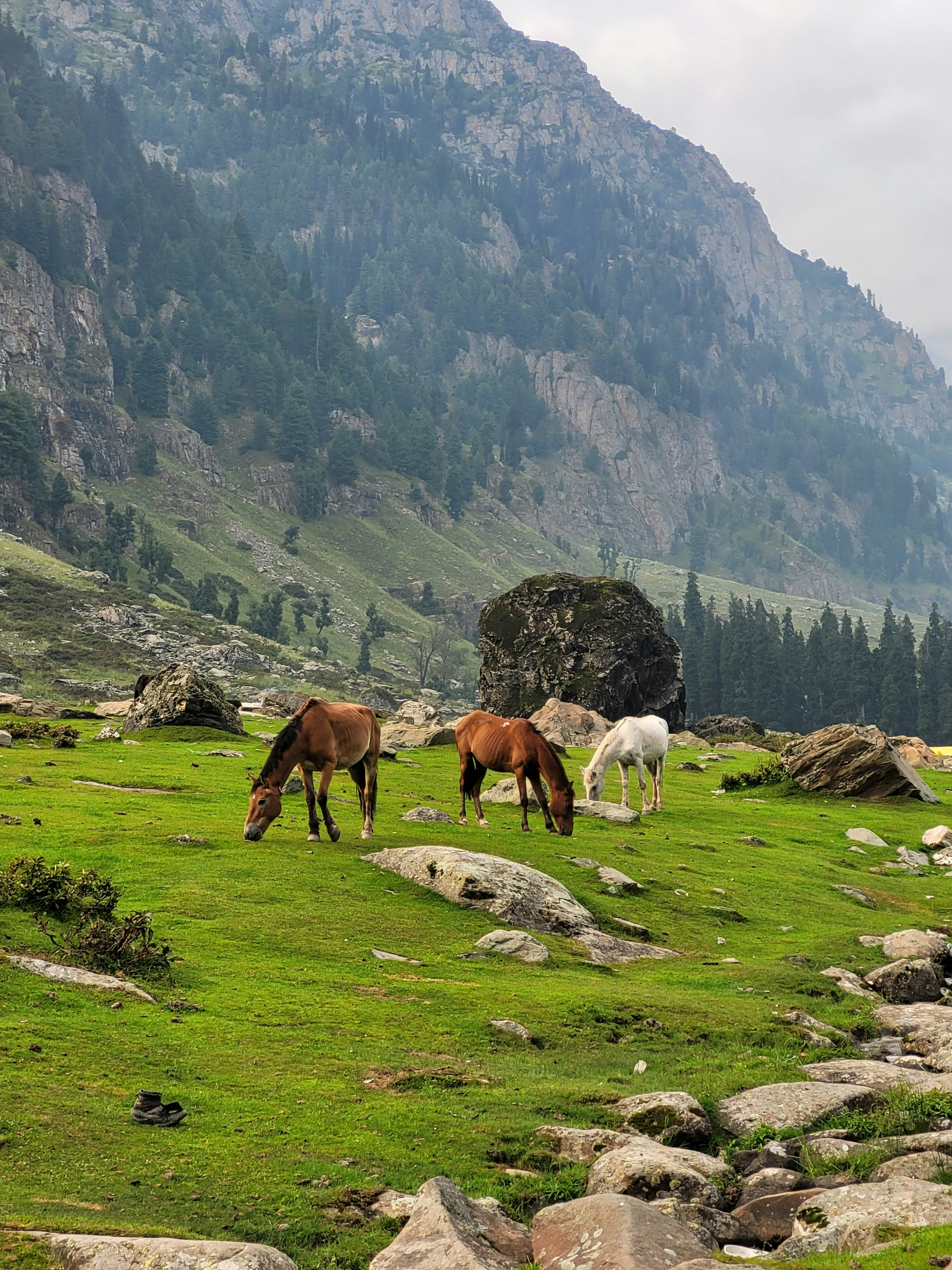 GRAND KASHMIR GATEWAY 5 NIGHTS/6 DAYS