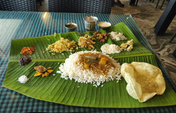 UDUPI VEGETARIAN RESTAURANT